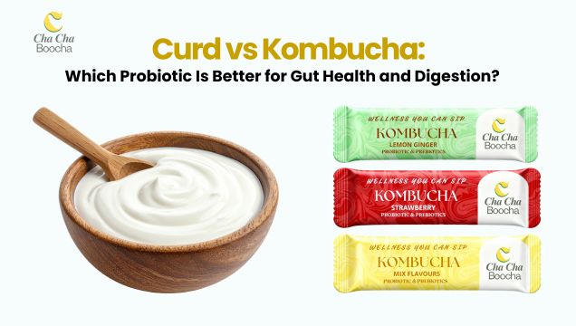 Curd vs Kombucha: Which Probiotic Is Better for Gut Health and Digestion? blog cover image