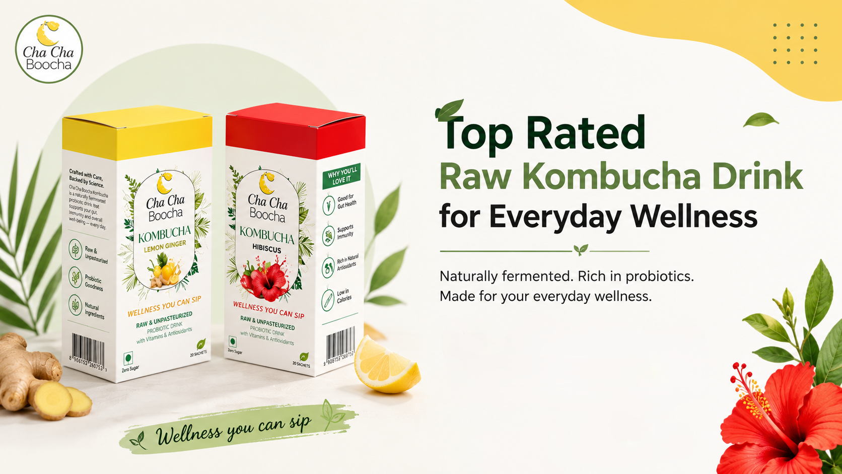 Top Rated Raw Kombucha Drink for Everyday Wellness blog cover image
